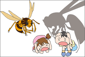 スズメバチの種類！巣の場所は？時期や特徴の違いは！？