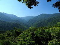 日本の世界遺産画像「白神山地」